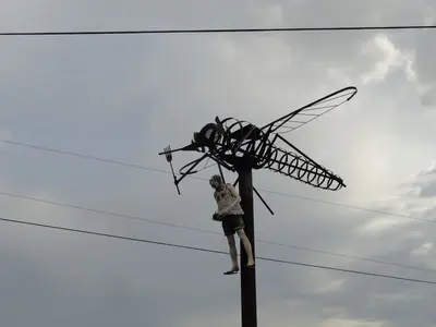 Largest Mosquito in the world - panoramio