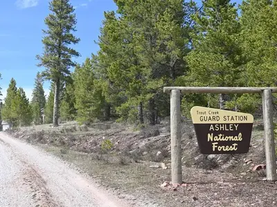 Trout Creek Sign
