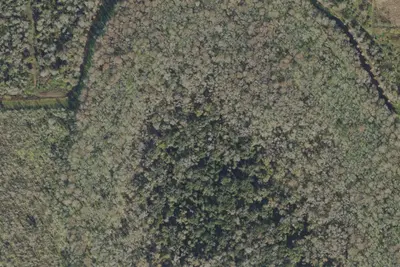 Camp site