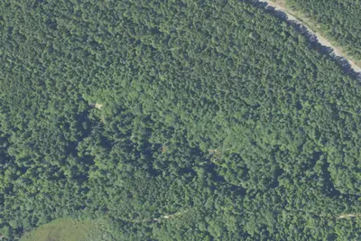 Little Presque Isle Cabins