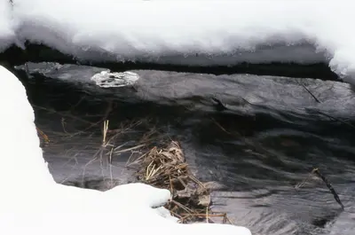 Snow Covered Creek - panoramio - A J Butler (1)