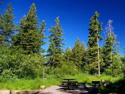 Scout Mountain site with trees