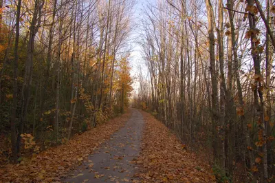 Victoria Rail Trail - panoramio (5)