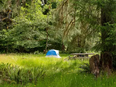 Hoh Campground 01