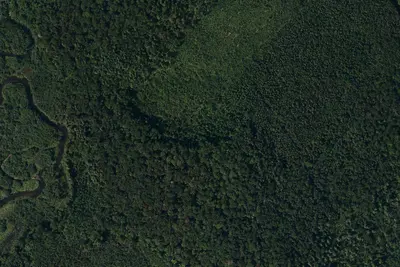Site #1