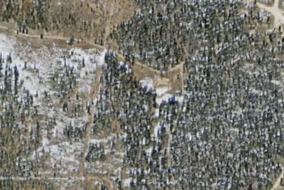Kaibab National Forest Free Campsite