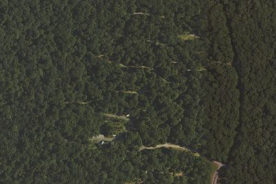 French Creek State Park Campground Loop B
