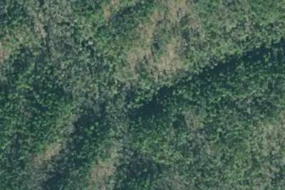 Camp site