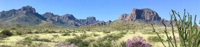 Big Bend Backcountry Camping