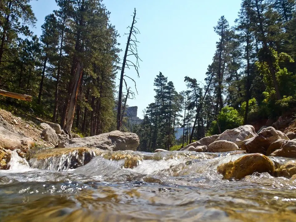Black Canyon Stream