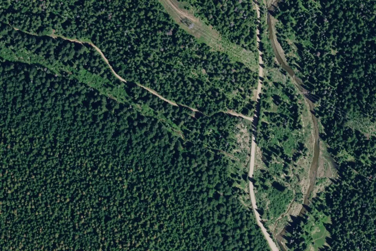 Aerial view