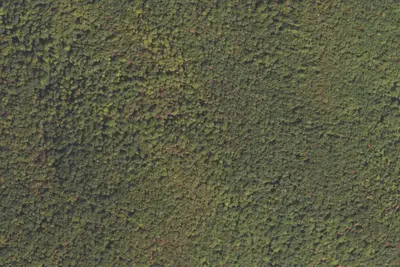 Camp site
