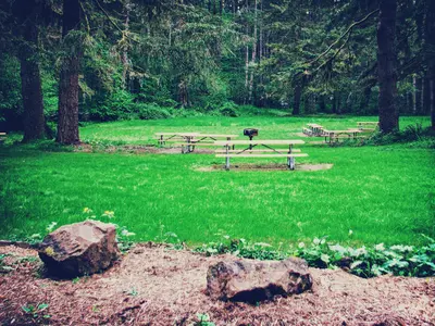 Seaquest State Park, 02