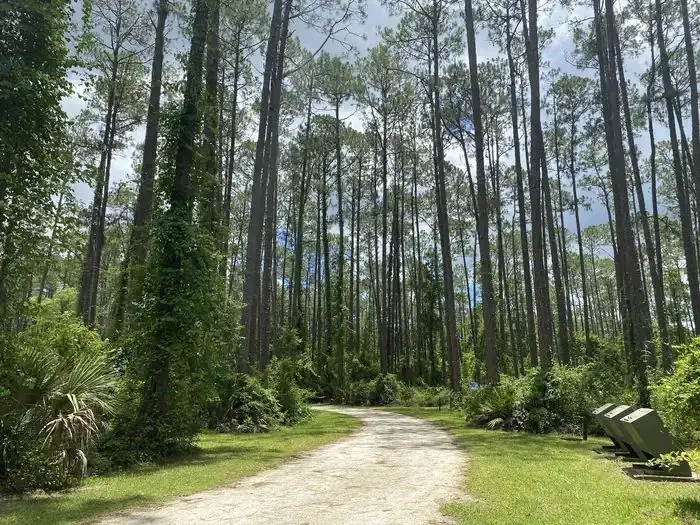 A photo of facility Lake Dorr Campground loop.