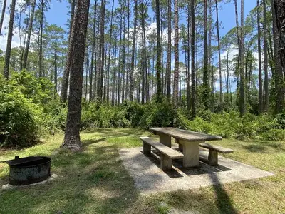 A photo of facility Lake Dorr Campground with Picnic Table, Fire Pit, Shade, Food Storage, Tent Pad