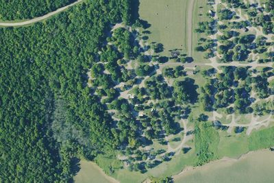 Walnut Campground