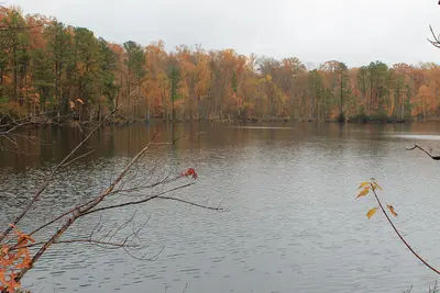 The Commonwealth of Virginia - panoramio (19)