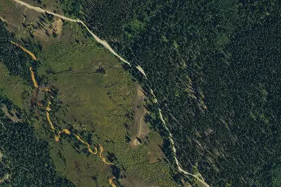 Designated Campsite