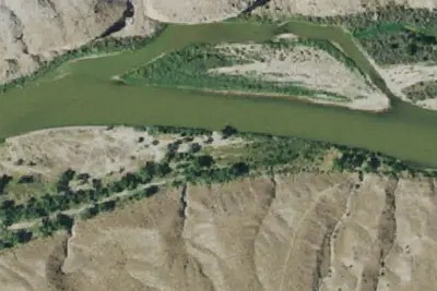 Cottonwood 1