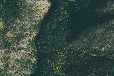 U.S. Forest Service Site 6