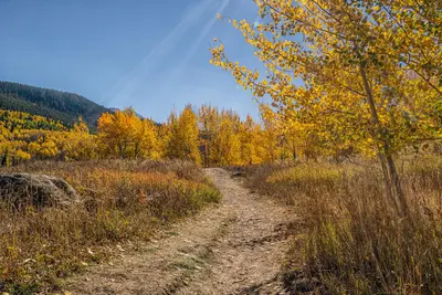 The Golden Road To Unlimited Devotion Ii (181407385)