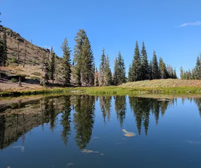 Square Lake (Tehama County) 2