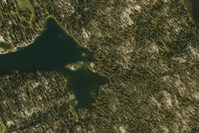 Camp site