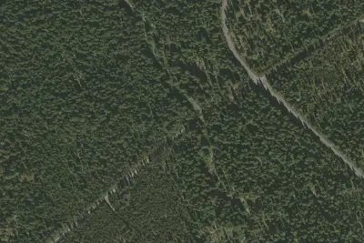 Primitive Campsite