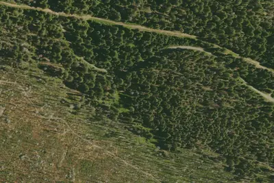 Pickett Peak Campground