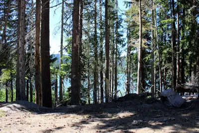 Dog Lake 02