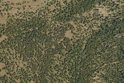 Camp site