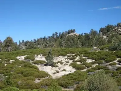 View from Shady Cove Group Campground.