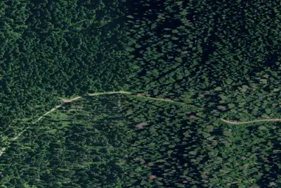 Rd 258 Site 10