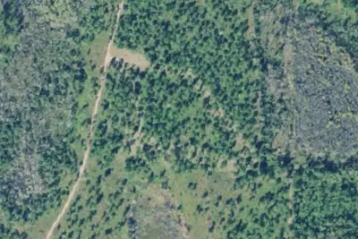 Camp site