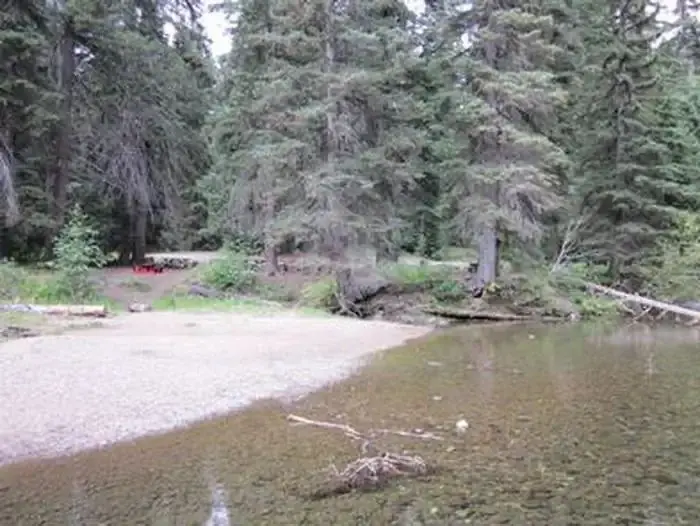 Flat beach next to clear water in conifer forest.