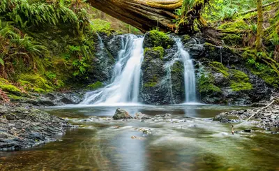 Forked waterfall (Unsplash)