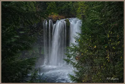 Linn County, OR, USA - panoramio (16)