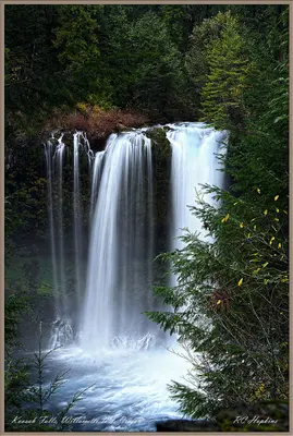 Linn County, OR, USA - panoramio (15)