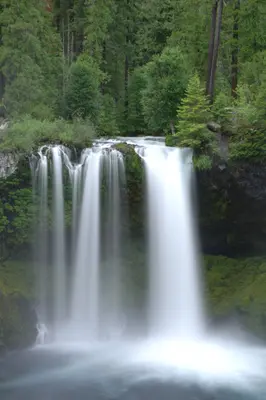 Koosah Falls, Willamette National Forest (23934657105)