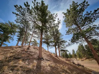 Curt Gowdy State Park in Spring - Wyoming (54125863591)