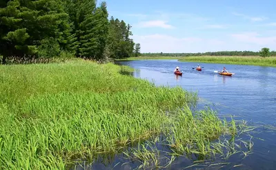 Schoolcraft State Park kayakers