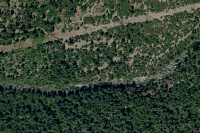 Camp site