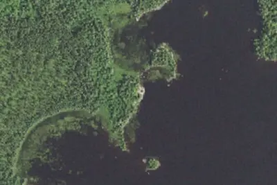 Lake Jeanette Site 1