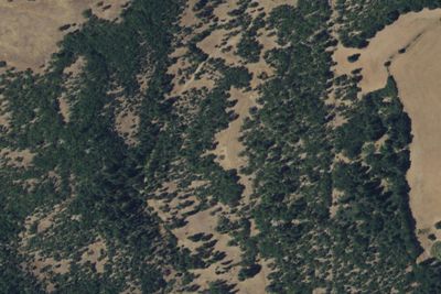 Camp site