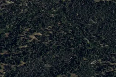 Upper Peppermint Dispersed Area