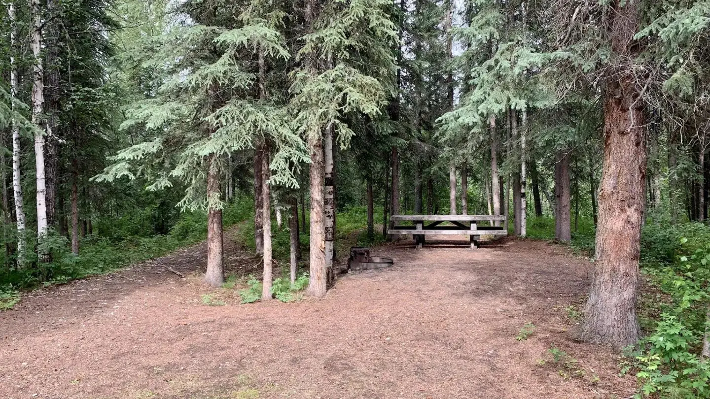Campsite in Cripple Creek Campground