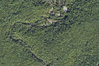 The Wilds