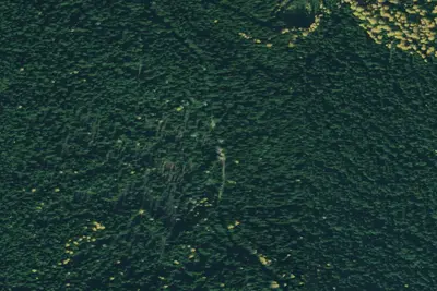 Pnt01 Tr62 Site a