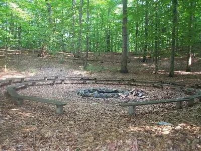 Fire circle surrounded by trees.