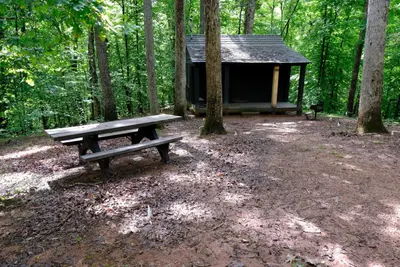 Cabin A5, a four-person cabin with a picnic table and grill.